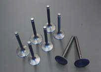 Racing Valves Toyota 18RG